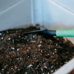 Beginner Tips for Composting at Home: A Simple Guide to Getting Started