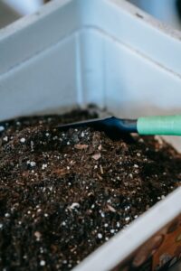 Beginner Tips for Composting at Home: A Simple Guide to Getting Started
